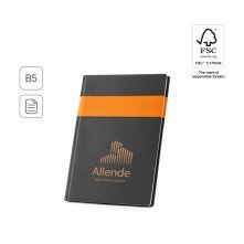 ALLENDE B5