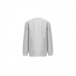 THC DELTA KIDS. Felpa per bambini in cotone riciclato e poliestere - Grigio chiaro m&eacute;lange