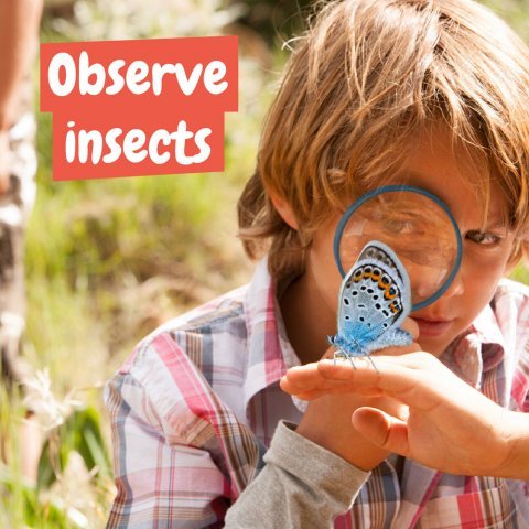 My First Science Kit I. Образователна игра за деца - разнороден