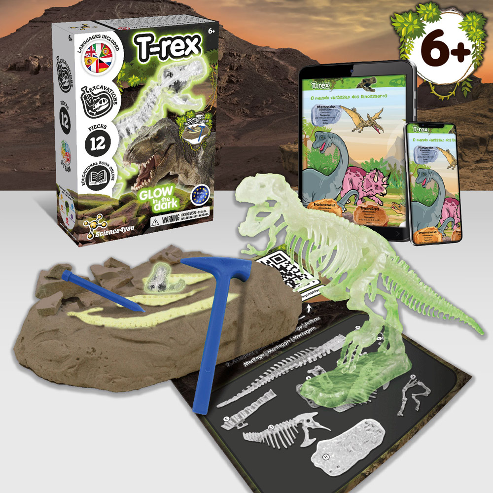 Fossil Excavation Kit I. Gioco educativo per bambini