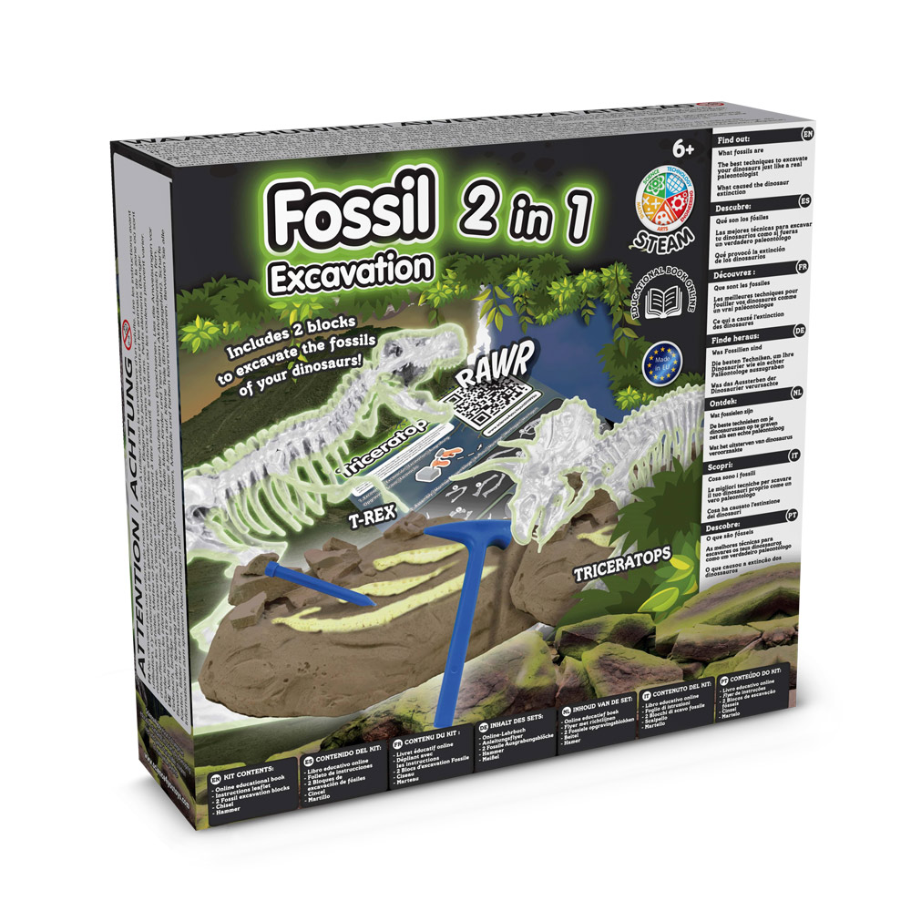 2 in 1 Fossil Excavation Kit I. Gioco educativo per bambini