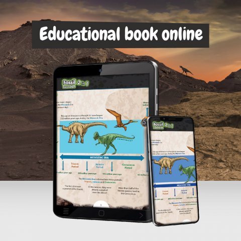 2 in 1 Fossil Excavation Kit I. Образователна игра за деца - разнороден