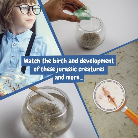 Jurassic Pets Kit I. &Epsilon;&kappa;&pi;&alpha;&iota;&delta;&epsilon;&upsilon;&tau;&iota;&kappa;ό &pi;&alpha;&iota;&chi;&nu;ί&delta;&iota; &gamma;&iota;&alpha; &pi;&alpha;&iota;&delta;&iota;ά - &Mu;ί&xi;&eta;