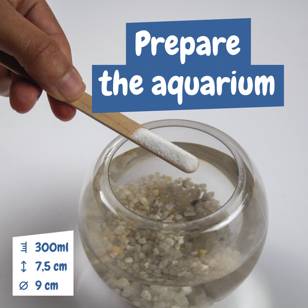 Jurassic Pets Kit I. Gioco educativo per bambini