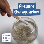 Jurassic Pets Kit I. &Epsilon;&kappa;&pi;&alpha;&iota;&delta;&epsilon;&upsilon;&tau;&iota;&kappa;ό &pi;&alpha;&iota;&chi;&nu;ί&delta;&iota; &gamma;&iota;&alpha; &pi;&alpha;&iota;&delta;&iota;ά - &Mu;ί&xi;&eta;