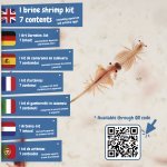 Jurassic Pets Kit I. &Epsilon;&kappa;&pi;&alpha;&iota;&delta;&epsilon;&upsilon;&tau;&iota;&kappa;ό &pi;&alpha;&iota;&chi;&nu;ί&delta;&iota; &gamma;&iota;&alpha; &pi;&alpha;&iota;&delta;&iota;ά - &Mu;ί&xi;&eta;