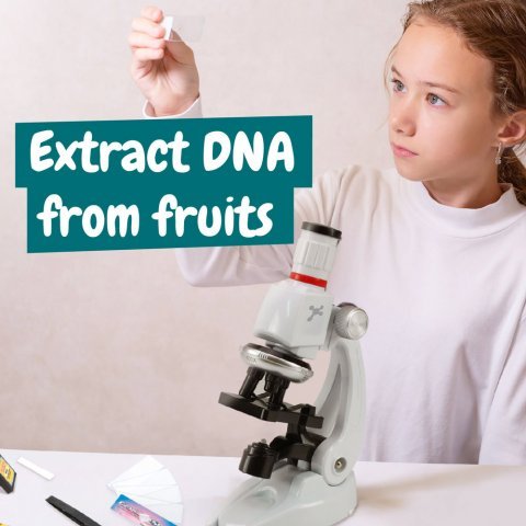 MICROSCOPE. Образователна игра за деца - разнороден