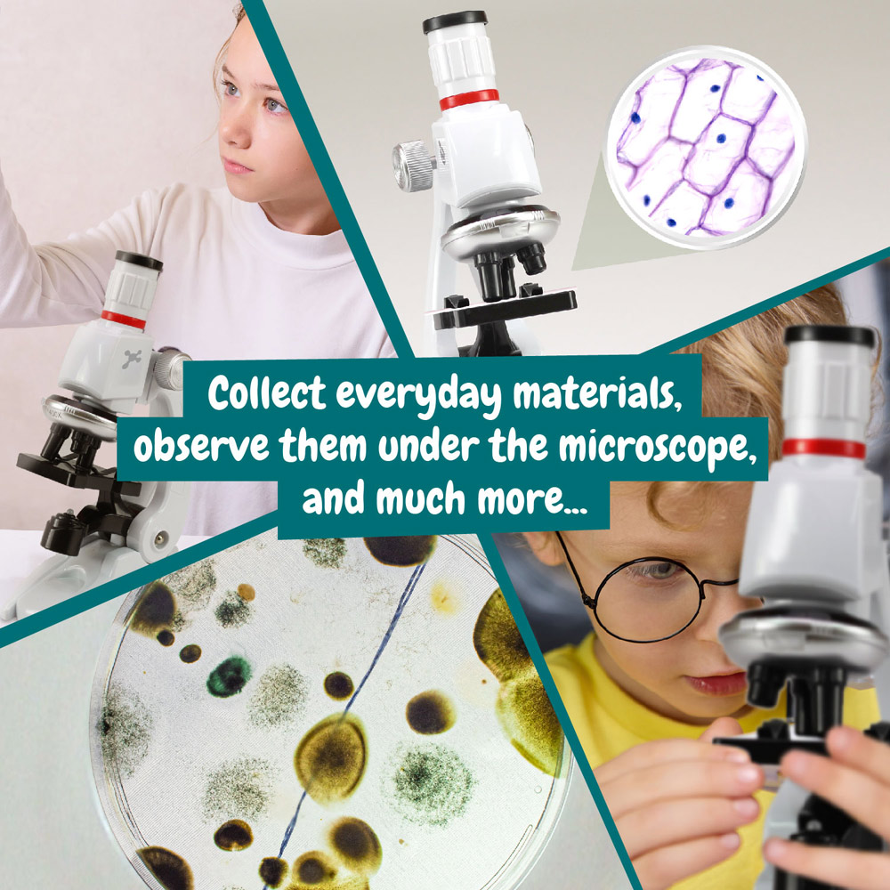 MICROSCOPE. Gioco educativo per bambini