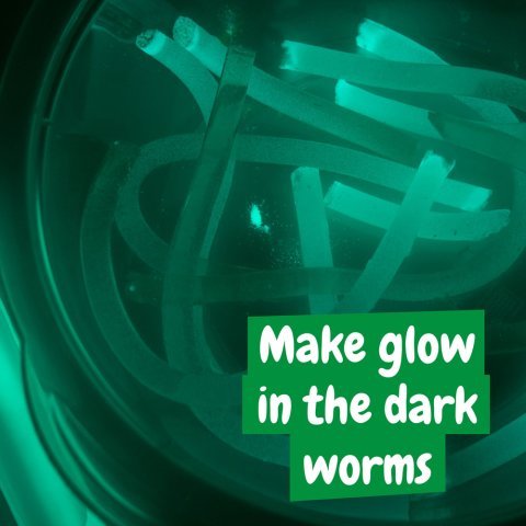 SLIME FACTORY GAME. Образователна игра за деца - разнороден