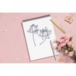 CLARE. &Sigma;&tau;&upsilon;&lambda;ό &alpha;&nu;&alpha;&kappa;&upsilon;&kappa;&lambda;&omega;&mu;έ&nu;&omicron; &alpha;&lambda;&omicron;&upsilon;&mu;&iota;&nu;ί&omicron;&upsilon; (100% rAL) &mu;&epsilon; &mu;&eta;&chi;&alpha;&nu;&iota;&sigma;&mu;ό &pi;&epsilon;&rho;&iota;&sigma;&tau;&rho;&omicron;&phi;ή&sigmaf; &kappa;&alpha;&iota; &kappa;&lambda;&iota;&pi;