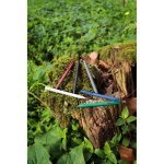 CLINT. &Sigma;&tau;&upsilon;&lambda;ό &mu;&epsilon; &mu;&pi;ί&lambda;&iota;&alpha; &alpha;&pi;ό &alpha;&nu;&alpha;&kappa;&upsilon;&kappa;&lambda;&omega;&mu;έ&nu;&omicron; &alpha;&lambda;&omicron;&upsilon;&mu;ί&nu;&iota;&omicron; (100% rAL) &mu;&epsilon; &phi;&iota;&nu;ί&rho;&iota;&sigma;&mu;&alpha; &alpha;&pi;ό &kappa;&alpha;&omicron;&upsilon;&tau;&sigma;&omicron;ύ&kappa;