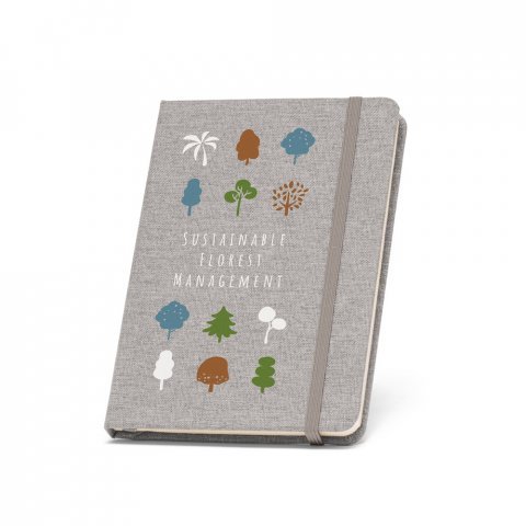 BOYD. Bloc-notes de notes A5 en polyester recycl&eacute; (100% rPET) avec pages lign&eacute;es - Gris clair