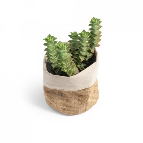 DUCASSE. &Tau;&sigma;ά&nu;&tau;&alpha; &pi;&omicron;&lambda;&lambda;&alpha;&pi;&lambda;ώ&nu; &chi;&rho;ή&sigma;&epsilon;&omega;&nu; &alpha;&pi;ό &gamma;&iota;&omicron;ύ&tau;&alpha; (260 g/m&sup2;) &kappa;&alpha;&iota; &beta;&alpha;&mu;&beta;ά&kappa;&iota; (120g/m&sup2;) - &Phi;&upsilon;&sigma;&iota;&kappa;ό 