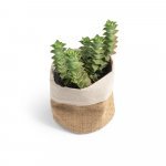 DUCASSE. &Tau;&sigma;ά&nu;&tau;&alpha; &pi;&omicron;&lambda;&lambda;&alpha;&pi;&lambda;ώ&nu; &chi;&rho;ή&sigma;&epsilon;&omega;&nu; &alpha;&pi;ό &gamma;&iota;&omicron;ύ&tau;&alpha; (260 g/m&sup2;) &kappa;&alpha;&iota; &beta;&alpha;&mu;&beta;ά&kappa;&iota; (120g/m&sup2;) - &Phi;&upsilon;&sigma;&iota;&kappa;ό 