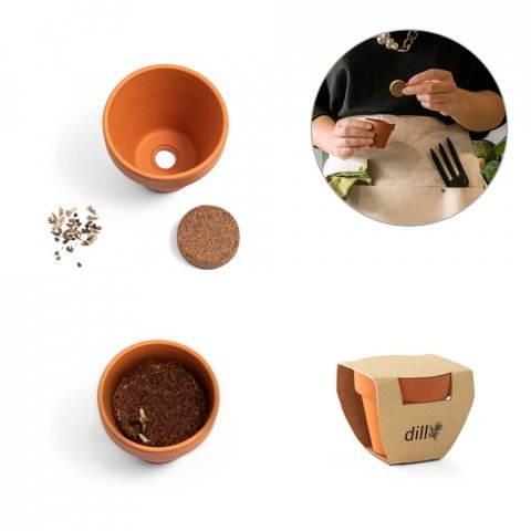 ANETHUM. &Pi;ή&lambda;&iota;&nu;&omicron; &delta;&omicron;&chi;&epsilon;ί&omicron; &mu;&epsilon; &sigma;&pi;ό&rho;&omicron;&upsilon;&sigmaf; ά&nu;&eta;&theta;&omicron;&upsilon;