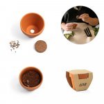 ANETHUM. &Pi;ή&lambda;&iota;&nu;&omicron; &delta;&omicron;&chi;&epsilon;ί&omicron; &mu;&epsilon; &sigma;&pi;ό&rho;&omicron;&upsilon;&sigmaf; ά&nu;&eta;&theta;&omicron;&upsilon;