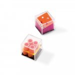 GAMY. &Kappa;&omicron;&upsilon;&tau;ί &mu;&epsilon; 24 &pi;&alpha;&iota;&chi;&nu;ί&delta;&iota;&alpha; - &Mu;ί&xi;&eta;