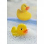 DUCK. &Pi;ά&pi;&iota;&alpha; &kappa;&alpha;&omicron;&upsilon;&tau;&sigma;&omicron;ύ&kappa; &sigma;&epsilon; PVC