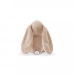 BUGS. &Lambda;&omicron;ύ&tau;&rho;&iota;&nu;&omicron; &alpha;&pi;ό &pi;&omicron;&lambda;&upsilon;&epsilon;&sigma;&tau;έ&rho;&alpha; &sigma;&epsilon; &sigma;&chi;ή&mu;&alpha; &lambda;&alpha;&gamma;&omicron;ύ, &mu;&epsilon; ύ&phi;&alpha;&sigma;&mu;&alpha; &kappa;&alpha;&tau;ά&lambda;&lambda;&eta;&lambda;&omicron; &gamma;&iota;&alpha; &pi;&rho;&omicron;&sigma;&omega;&pi;&omicron;&pi;&omicron;ί&eta;&sigma;&eta; - &Mu;&pi;&epsilon;&zeta;