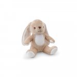 BUGS. &Lambda;&omicron;ύ&tau;&rho;&iota;&nu;&omicron; &alpha;&pi;ό &pi;&omicron;&lambda;&upsilon;&epsilon;&sigma;&tau;έ&rho;&alpha; &sigma;&epsilon; &sigma;&chi;ή&mu;&alpha; &lambda;&alpha;&gamma;&omicron;ύ, &mu;&epsilon; ύ&phi;&alpha;&sigma;&mu;&alpha; &kappa;&alpha;&tau;ά&lambda;&lambda;&eta;&lambda;&omicron; &gamma;&iota;&alpha; &pi;&rho;&omicron;&sigma;&omega;&pi;&omicron;&pi;&omicron;ί&eta;&sigma;&eta; - &Mu;&pi;&epsilon;&zeta;