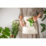 CHICORY. &Pi;&omicron;&delta;&iota;ά &pi;&omicron;&lambda;&lambda;&alpha;&pi;&lambda;ώ&nu; &chi;&rho;ή&sigma;&epsilon;&omega;&nu; &sigma;&epsilon; &beta;&alpha;&mu;&beta;&alpha;&kappa;&epsilon;&rho;ό &kappa;&alpha;&mu;&beta;ά (260 g/m&sup2;)